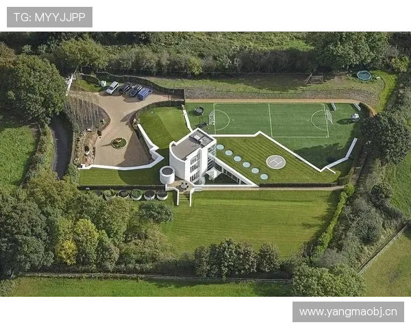 巴洛特利这豪宅一开火，全邻居都急了，这生活也太戏剧了吧？