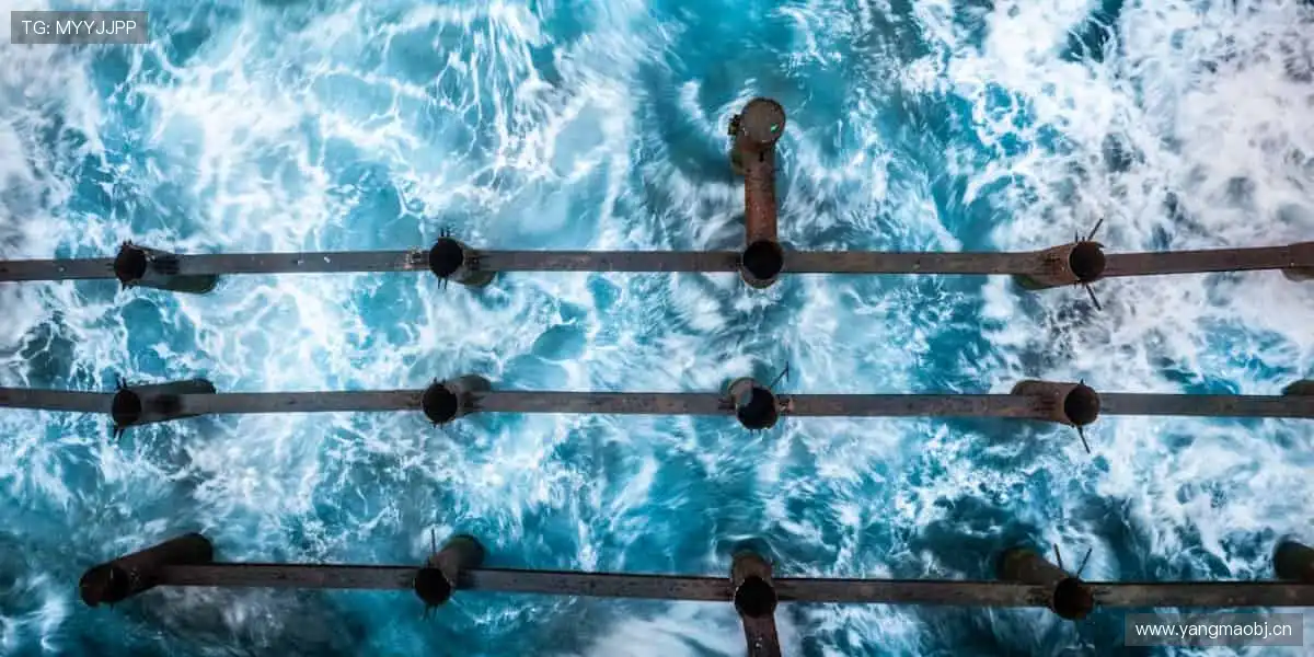 运动潮品，穿出你的冠军态度！👕🏅